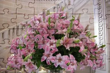 Pink lily arrangement, Umaid Bhawan Palace, India