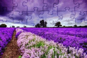 imagens jigsaw puzzle