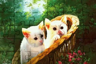 gatinhos