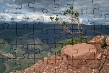 tarde de arco iris jigsaw puzzle