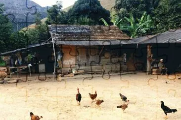 roÃ§a