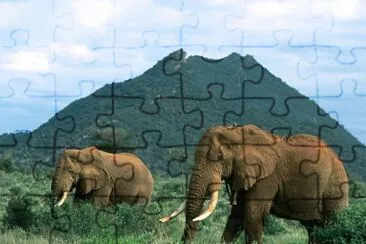 ANIMALES
