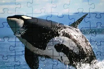 ANIMALES