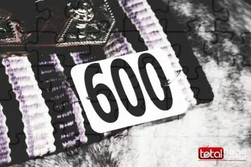 Saddle Pad   Number