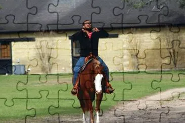 Quarter Horse