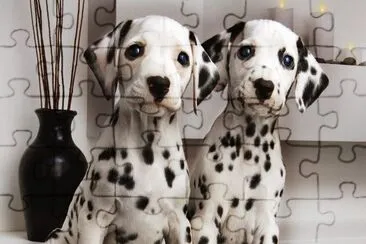 ANIMALES