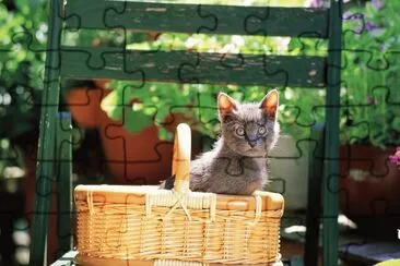 ANIMALES