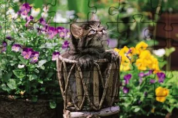 ANIMALES jigsaw puzzle