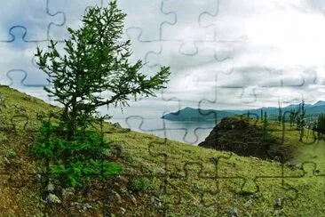 פאזל של NATURALEZA