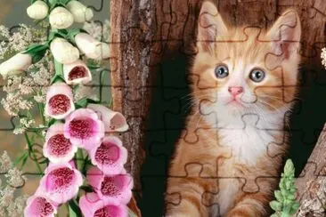 ANIMALES jigsaw puzzle