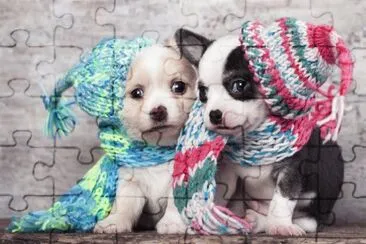 ANIMALES jigsaw puzzle