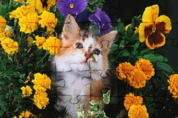 פאזל של ANIMALES