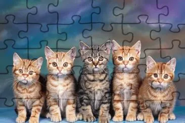 פאזל של ANIMALES