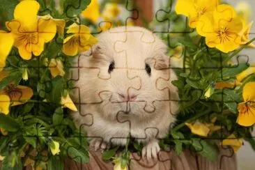 ANIMALES jigsaw puzzle