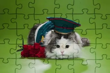 פאזל של ANIMALES