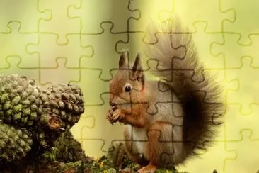 ANIMALES jigsaw puzzle