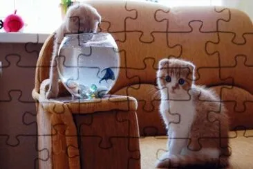 פאזל של ANIMALES
