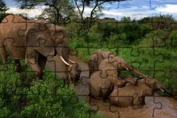 ANIMALES