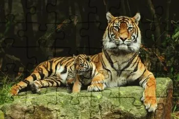 ANIMALES jigsaw puzzle