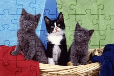 ANIMALES