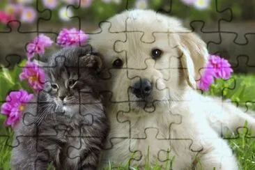 ANIMALES