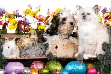 ANIMALES jigsaw puzzle
