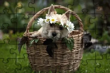ANIMALES jigsaw puzzle