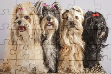 ANIMALES