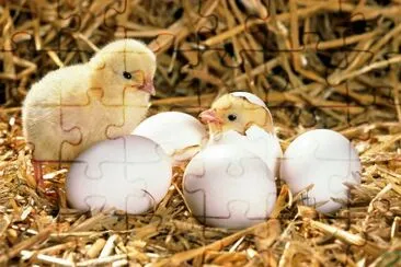 פאזל של ANIMALES
