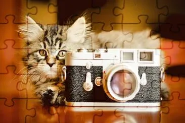 ANIMALES