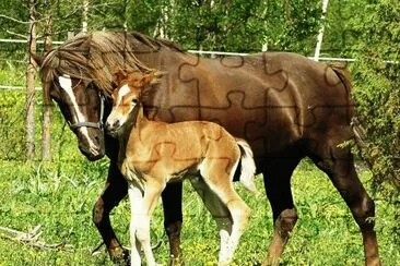mom#234