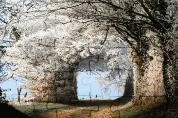 magical road