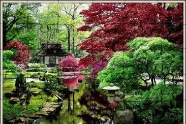 jardin japones jigsaw puzzle