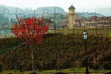 Mundo jigsaw puzzle