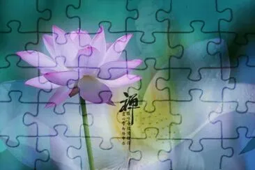ç¦ª jigsaw puzzle