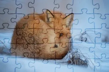 ANIMALES jigsaw puzzle