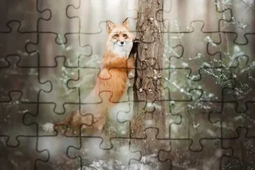 ANIMALES