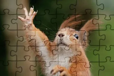 ANIMALES jigsaw puzzle