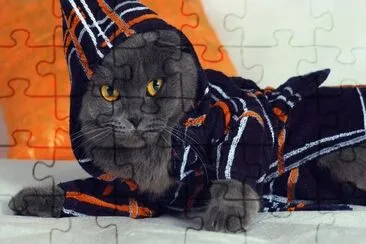 ANIMALES