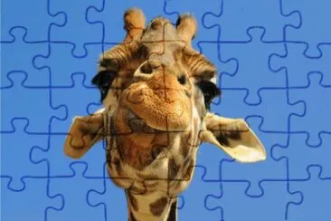 ANIMALES