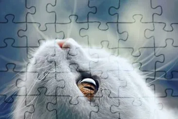 ANIMALES