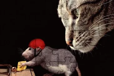 ANIMALES jigsaw puzzle