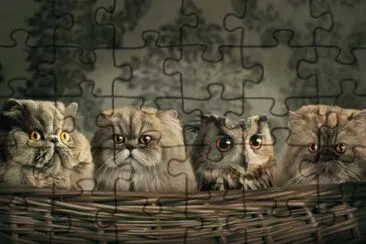 פאזל של ANIMALES