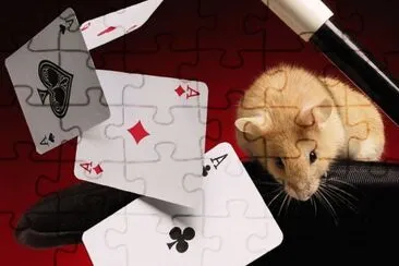 ANIMALES jigsaw puzzle
