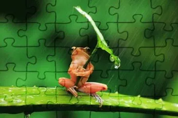 ANIMALES