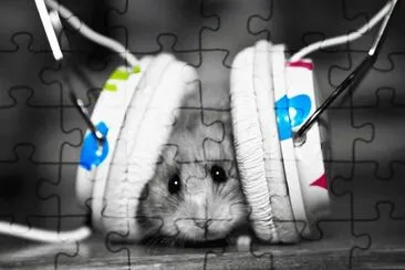 ANIMALES jigsaw puzzle