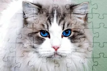 ANIMALES jigsaw puzzle