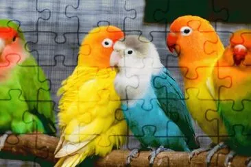 ANIMALES