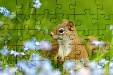 ANIMALES jigsaw puzzle