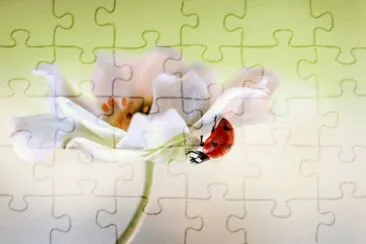 ANIMALES jigsaw puzzle